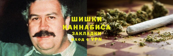 spice Аркадак