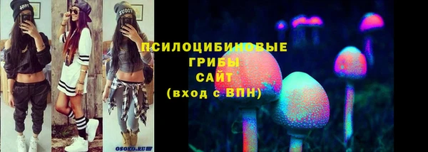 spice Аркадак