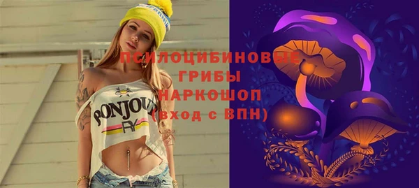 спиды Арсеньев