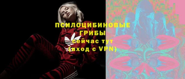 прущие крисы Алзамай