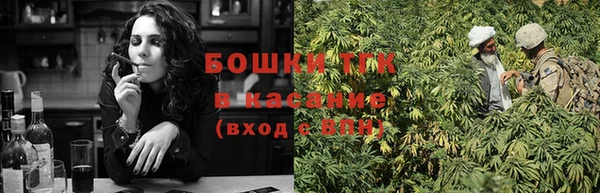 spice Аркадак