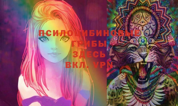 spice Аркадак